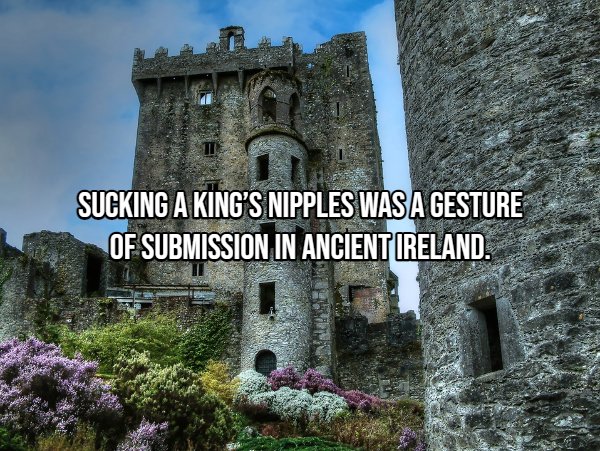 Interesting Facts (22 pics)