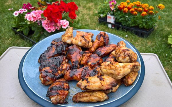 Delicious BBQ (31 pics)