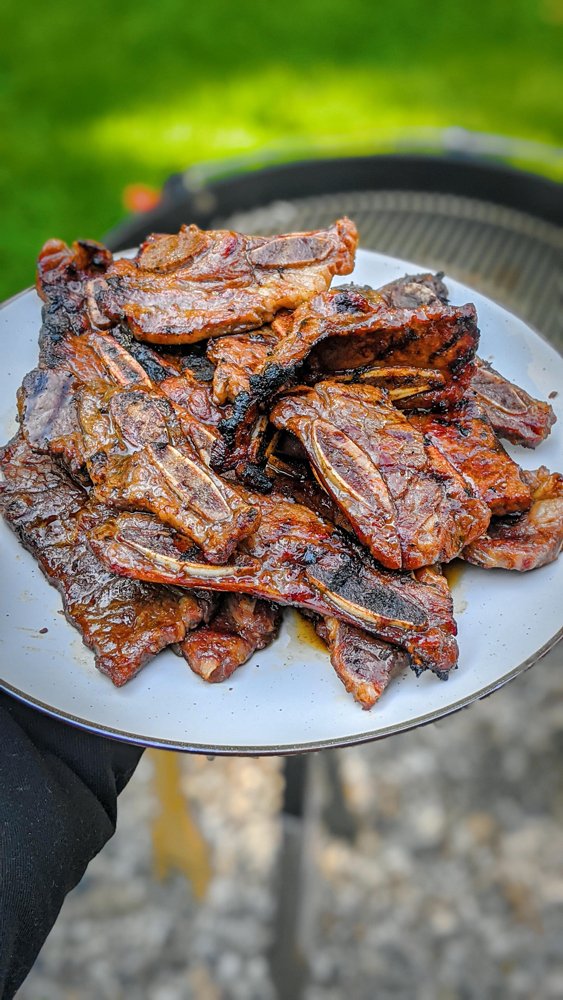 Delicious BBQ (31 pics)