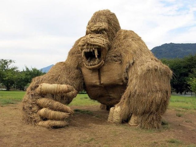 Acid Picdump 1 (54 pics)