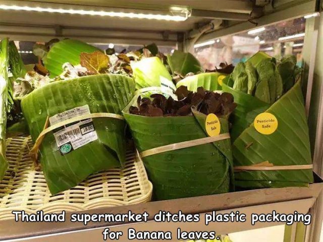 Acid Picdump 1 (54 pics)