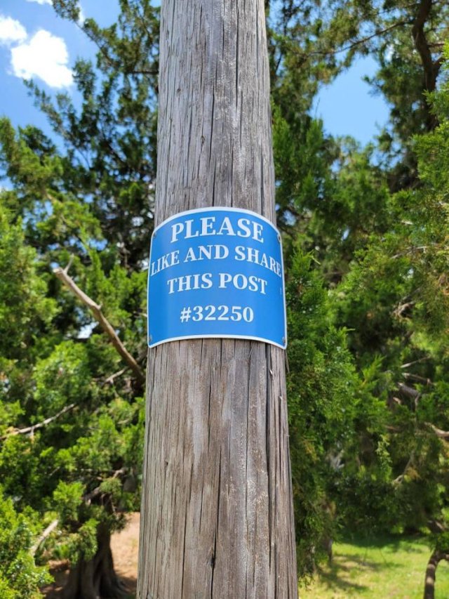 Acid Picdump 1 (54 pics)