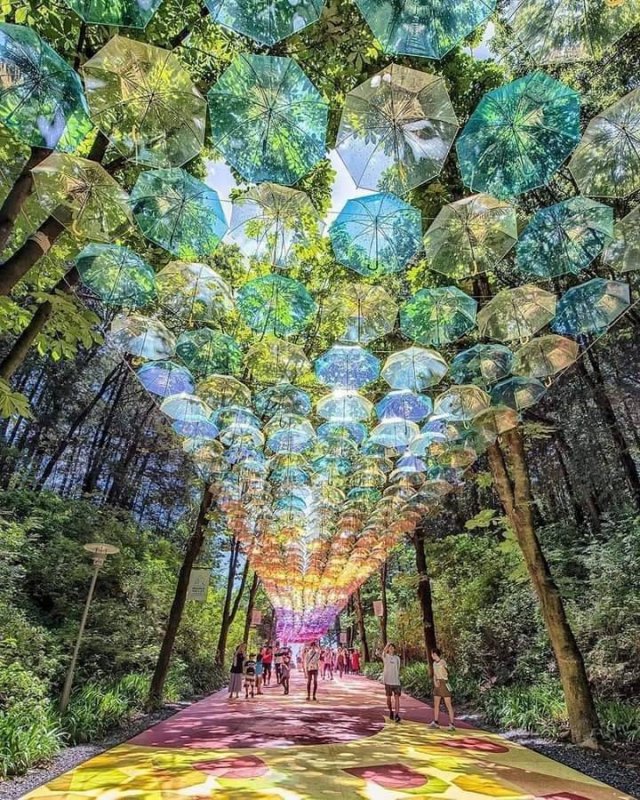 Acid Picdump 1 (54 pics)