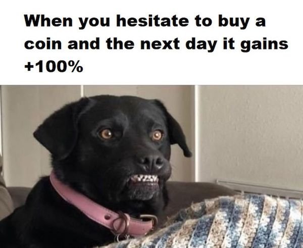 Cryptocurrency Memes (40 pics)