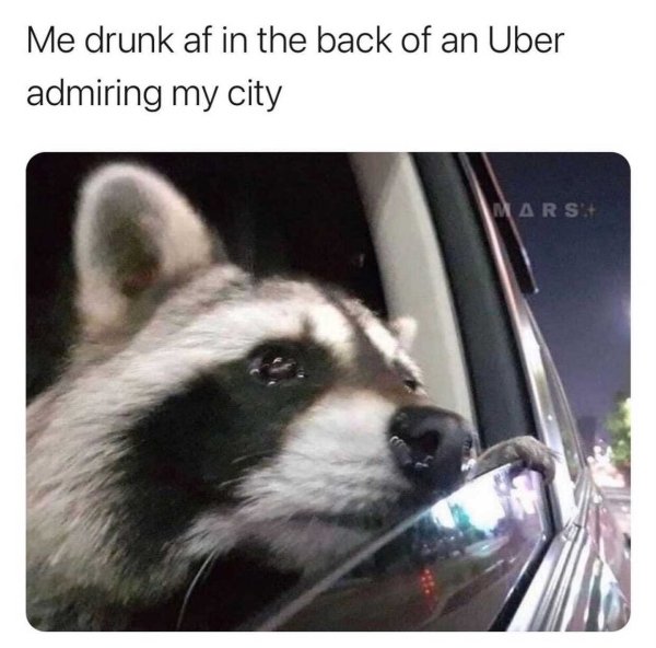 Alcohol Memes And Pictures (23 pics)