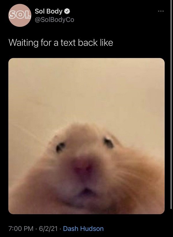 Random Funny Memes (24 pics)