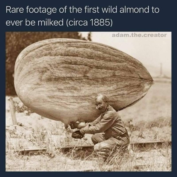 Random Funny Memes (24 pics)
