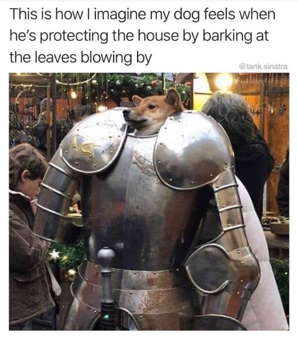Random Funny Memes (24 pics)