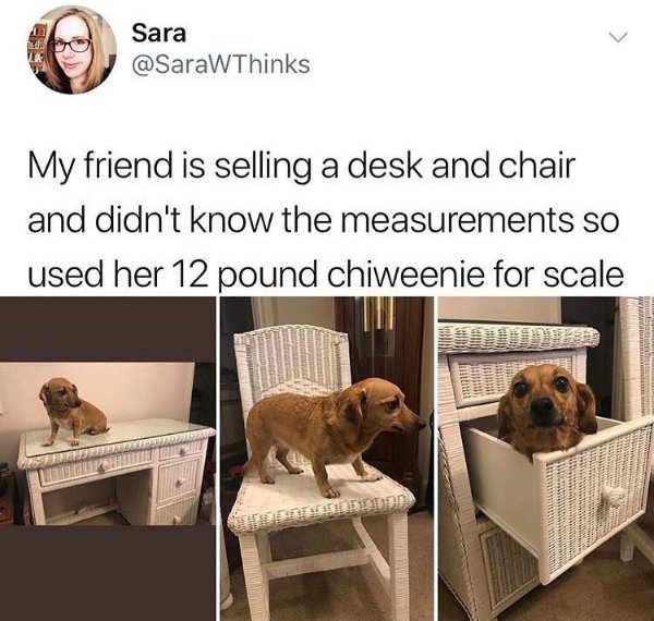 Random Funny Memes (24 pics)
