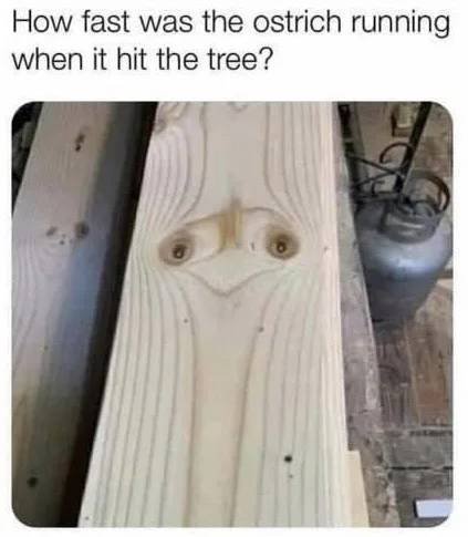 Acid Picdump 1 (54 pics)