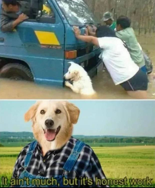 Acid Picdump 1 (54 pics)