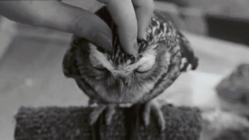 Acid Gifdump, June 14 (25 gifs)