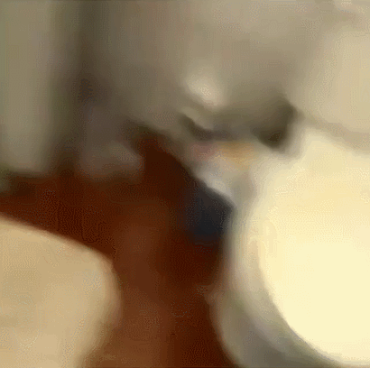 Acid Gifdump, June 14 (25 gifs)