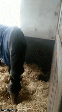 Acid Gifdump, June 14 (25 gifs)