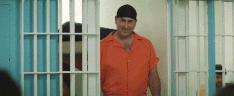 How Hollywood Portraits Jails (24 pics)