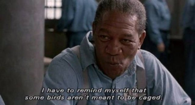 How Hollywood Portraits Jails (24 pics)