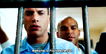 How Hollywood Portraits Jails (24 pics)