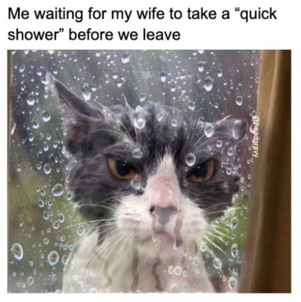 Married Men Memes (27 pics)
