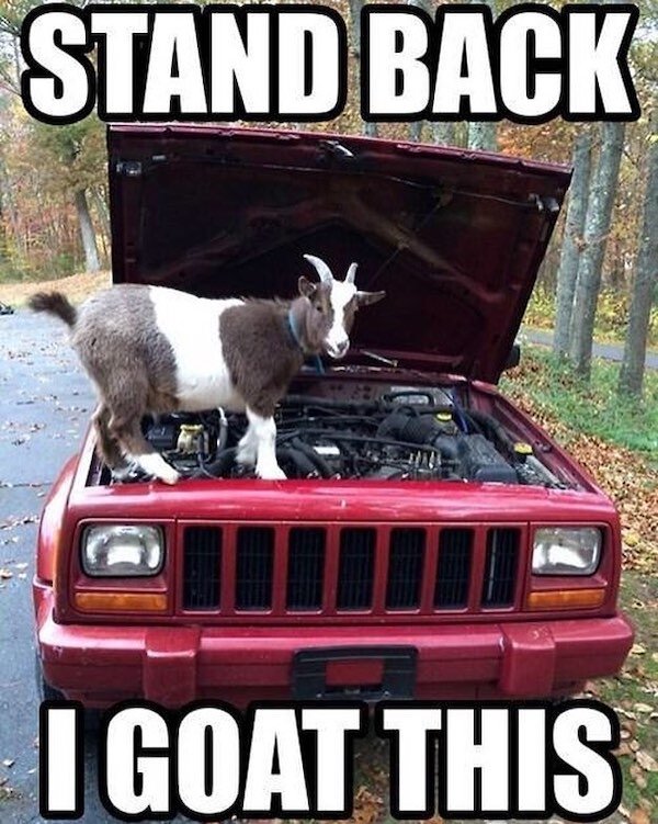 Country Memes (34 pics)