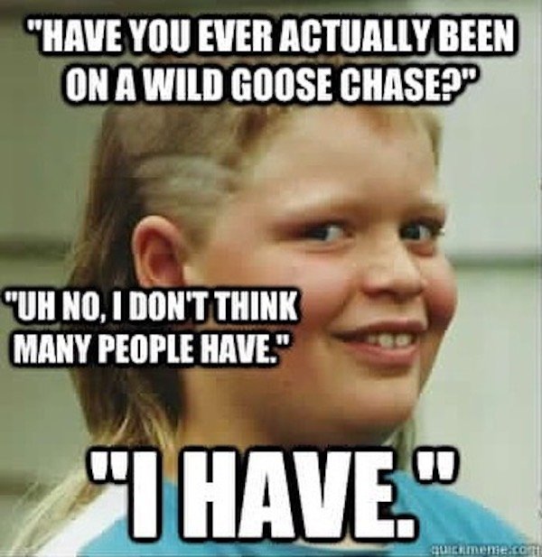 Country Memes (34 pics)