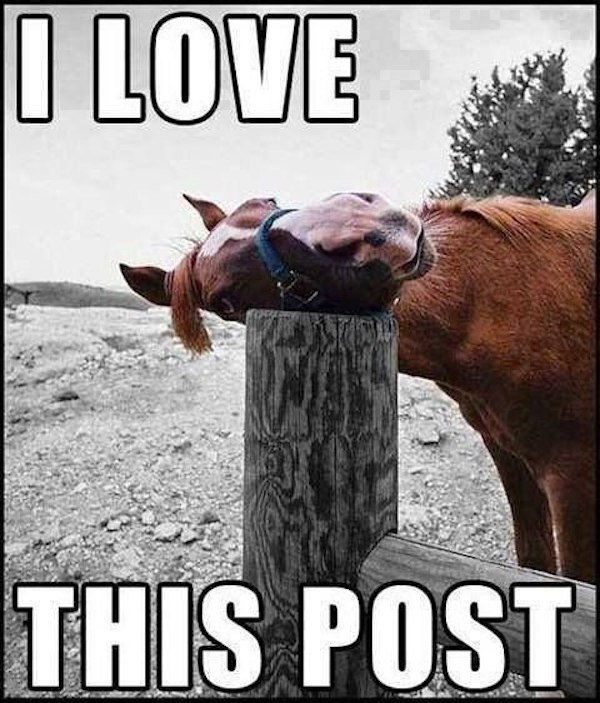 Country Memes (34 pics)