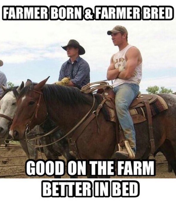 Country Memes (34 pics)
