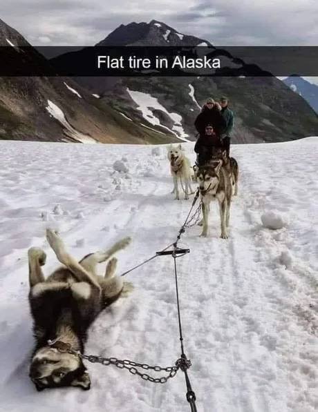 Acid Picdump 2 (77 pics)