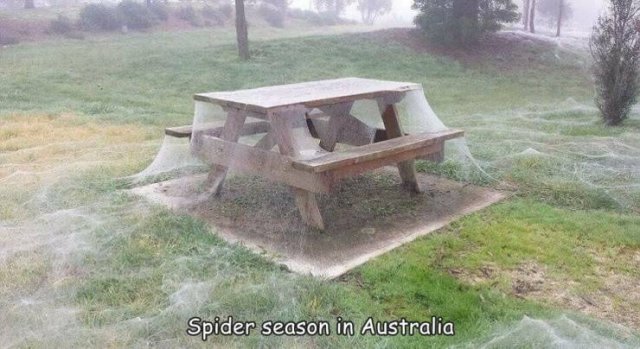 Acid Picdump 2 (83 pics)