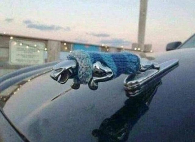 Acid Picdump 2 (83 pics)