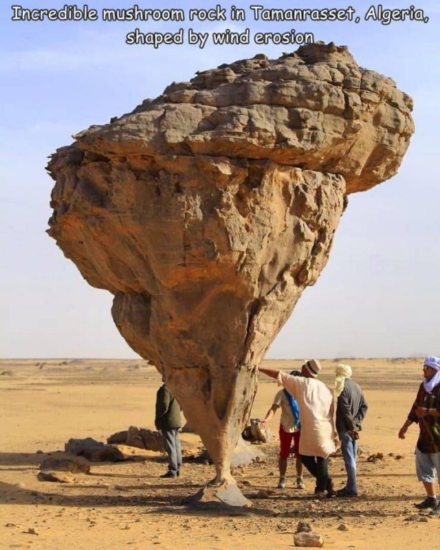 Acid Picdump 2 (83 pics)