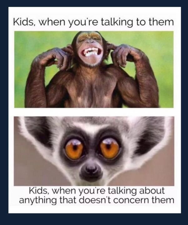 So True (38 pics)