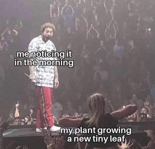 So True (38 pics)