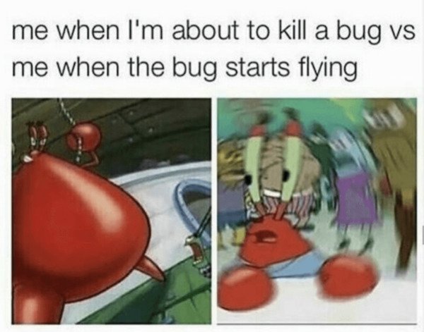 So True (38 pics)