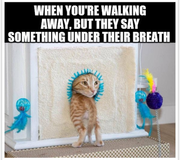 So True (38 pics)