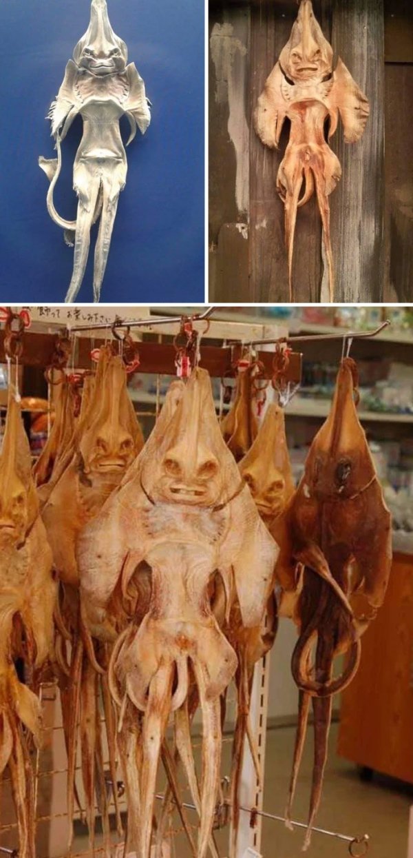 Scary Pictures (29 pics)