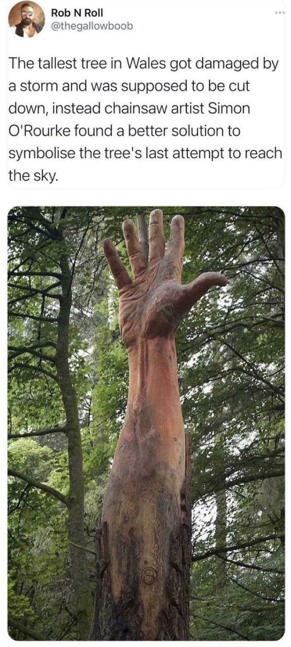 Scary Pictures (29 pics)