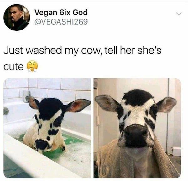 Wholesome Images (29 pics)