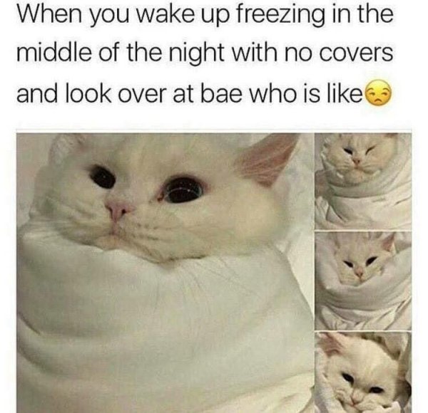 Flirtatious Memes (33 pics)