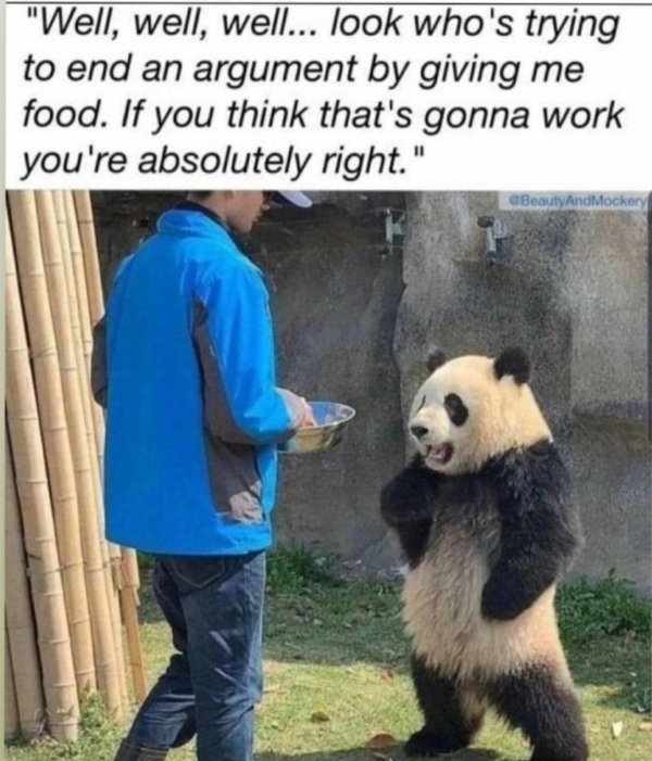 Flirtatious Memes (33 pics)