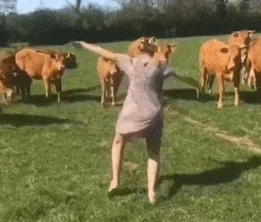 Acid Gifdump, June 16 (25 gifs)