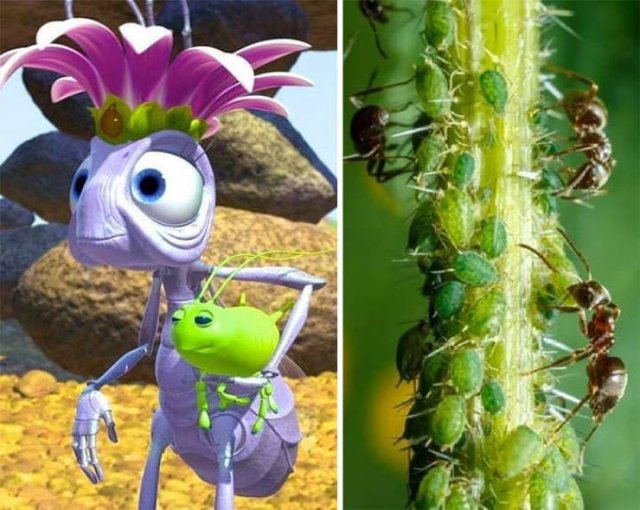 Hidden Movie Details (39 pics)