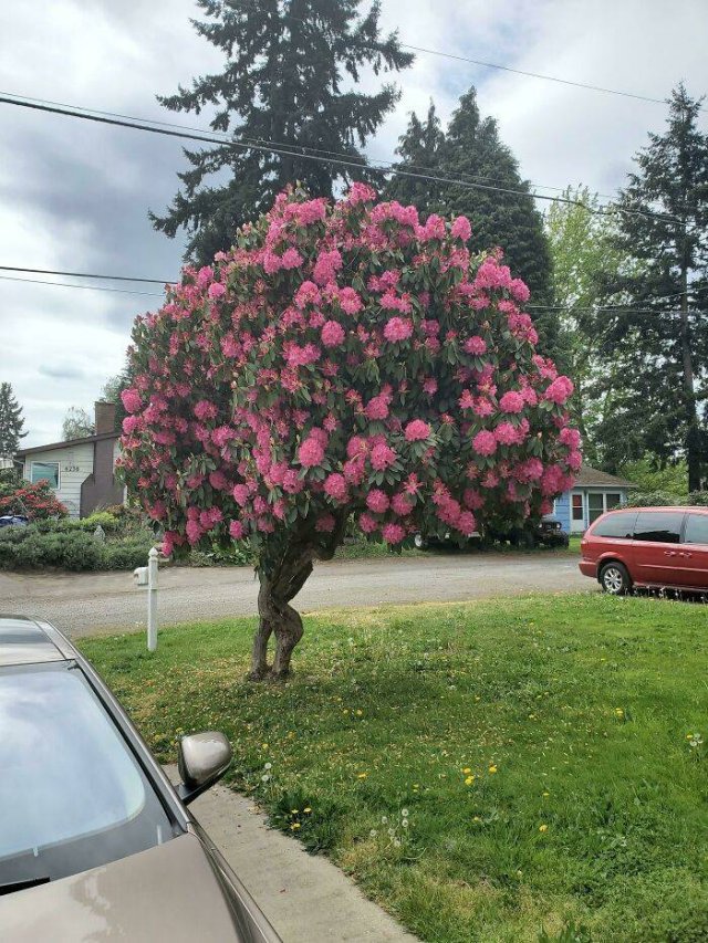 Interesting Photos (39 pics) Interesting Photos (39 pics)