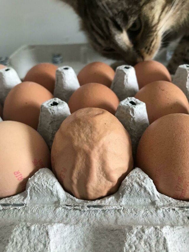 Interesting Photos (39 pics) Interesting Photos (39 pics)
