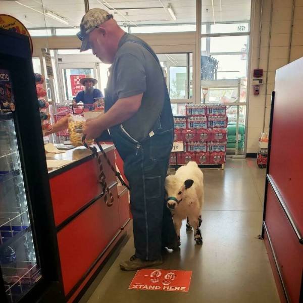 Interesting Photos (39 pics) Interesting Photos (39 pics)