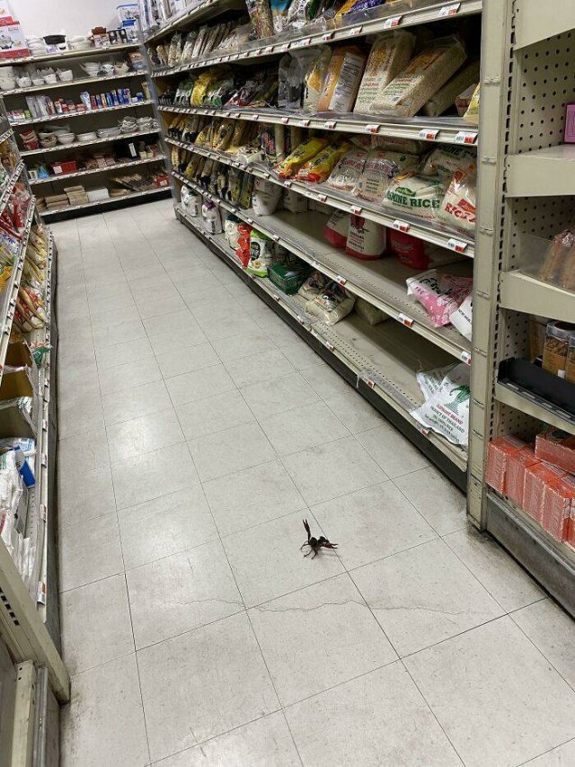 Interesting Photos (39 pics) Interesting Photos (39 pics)