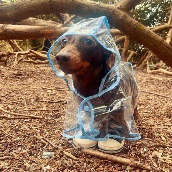 Acid Picdump 1 (80 pics)