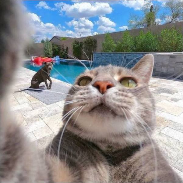 Acid Picdump 1 (80 pics)