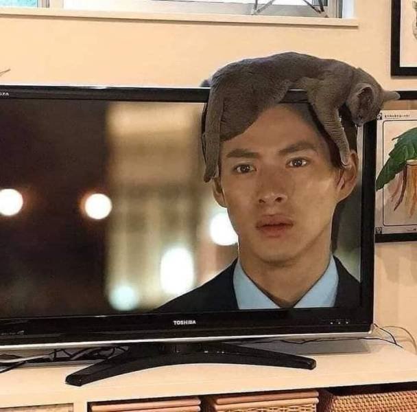 Acid Picdump 1 (80 pics)