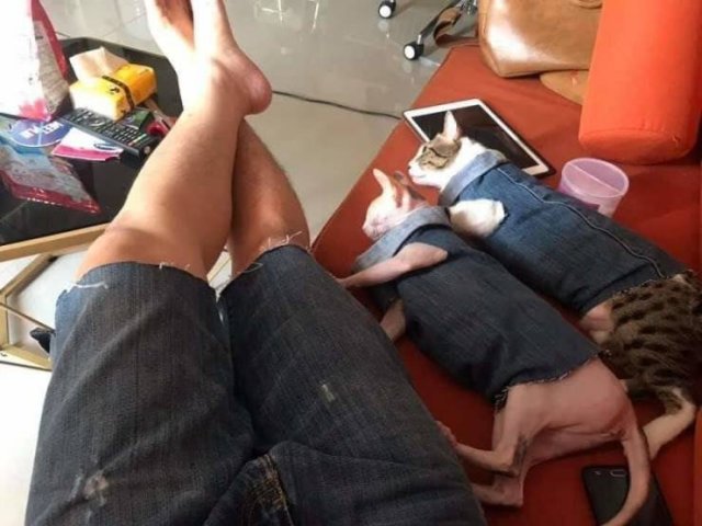 Acid Picdump 1 (80 pics)