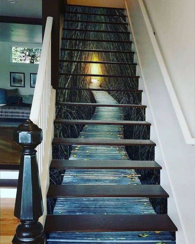 Acid Picdump 1 (80 pics)